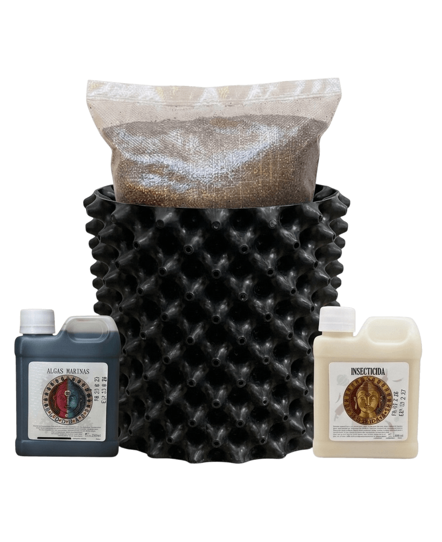 Kit Semi Pro Buddhabs | Sustrato, Maceta, Insecticida y Algas