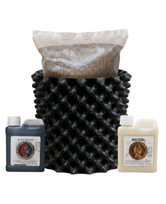 Kit Semi Pro Buddhabs | Sustrato, Maceta, Insecticida y Algas