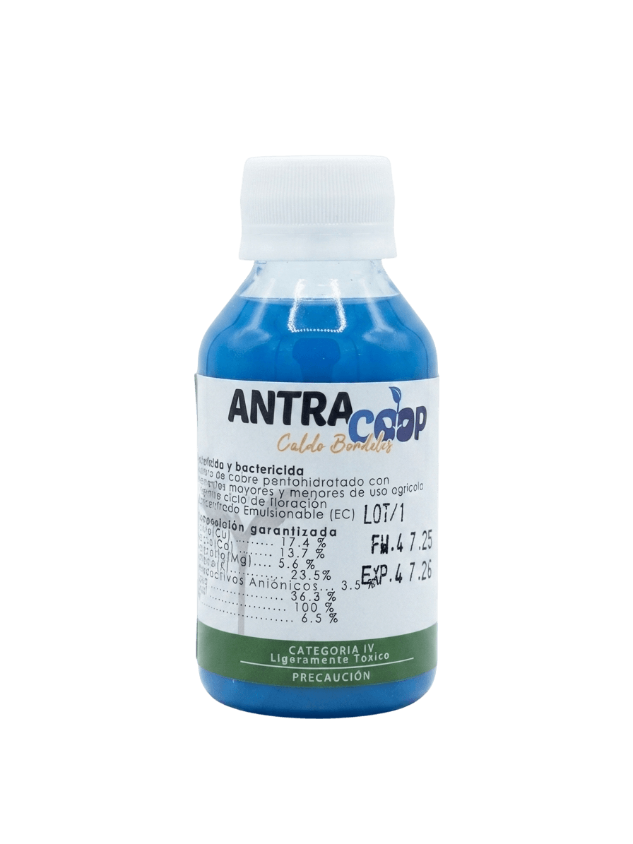 Caldo Bordelés Antracoop 120 ml