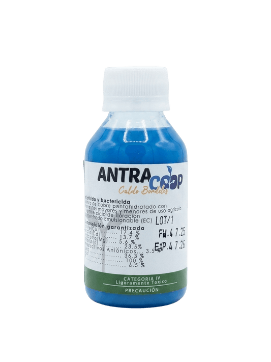 Caldo Bordelés Antracoop 120 ml