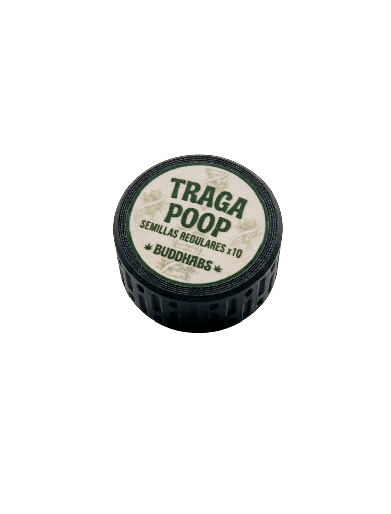 Traga Poop Feno 1 Semillas Regulares Pack x 10