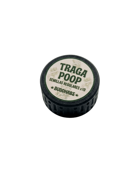 Traga Poop Feno 1 Semillas Regulares Pack x 10