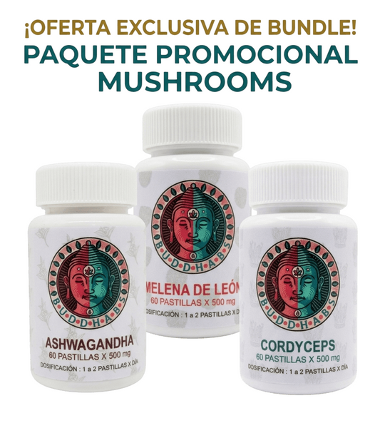 Paquete x 3 Melena de León, Cordyceps y Ashwagandha  Kit Bienestar