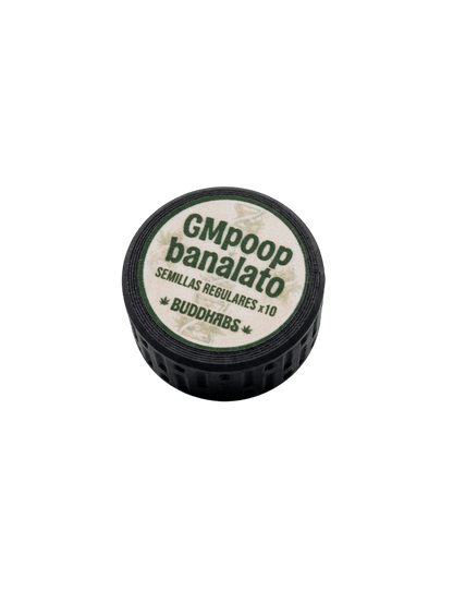 GM Poop Banalato Semillas Regulares Pack x 10