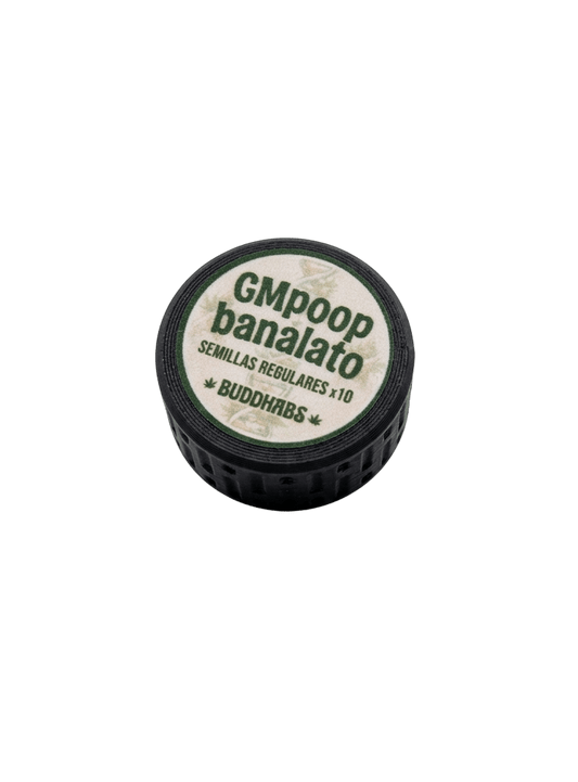 GM Poop Banalato Semillas Regulares Pack x 10